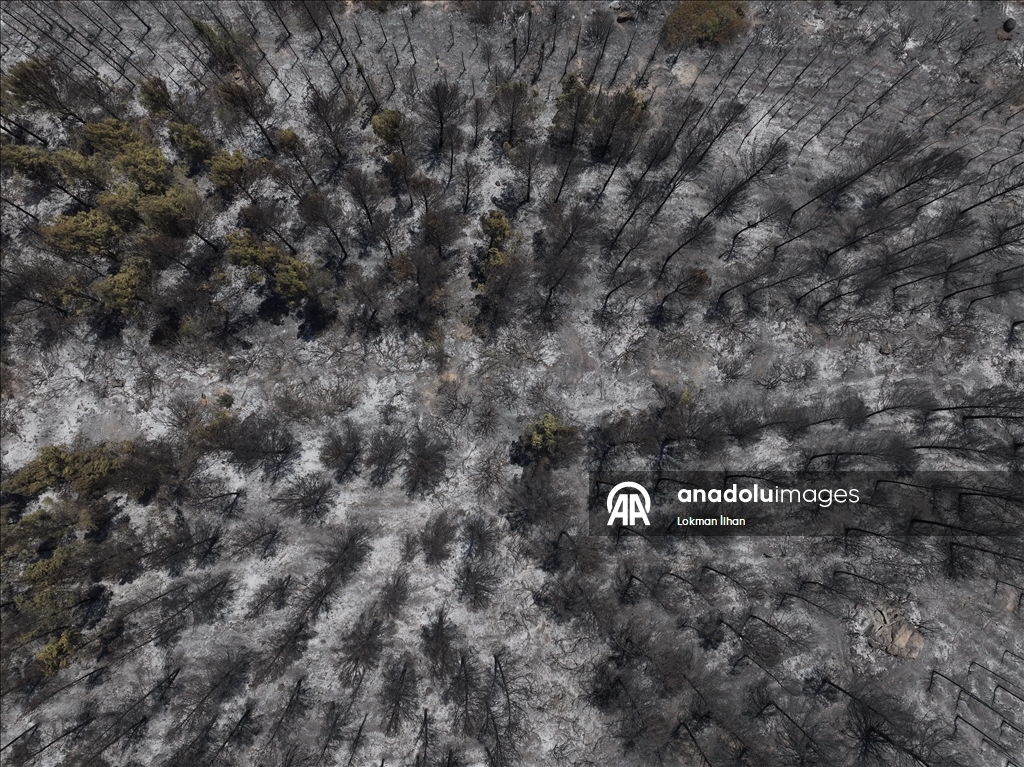 İzmir'deki orman yangınından etkilenen bölgeler