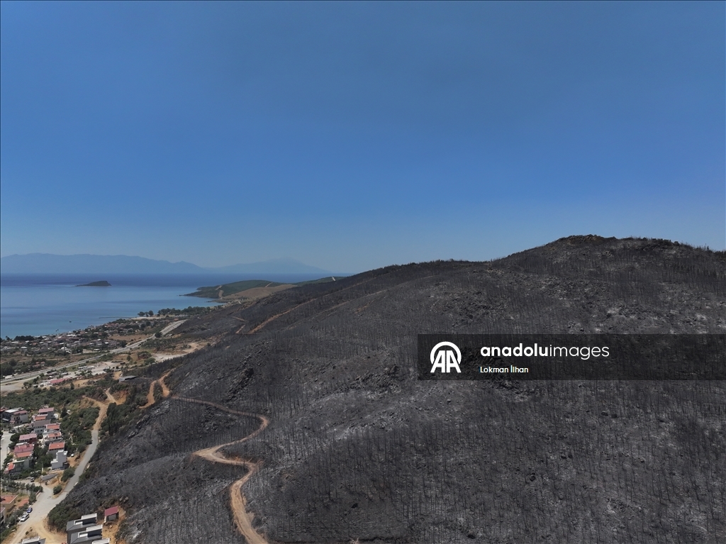 İzmir'deki orman yangınından etkilenen bölgeler
