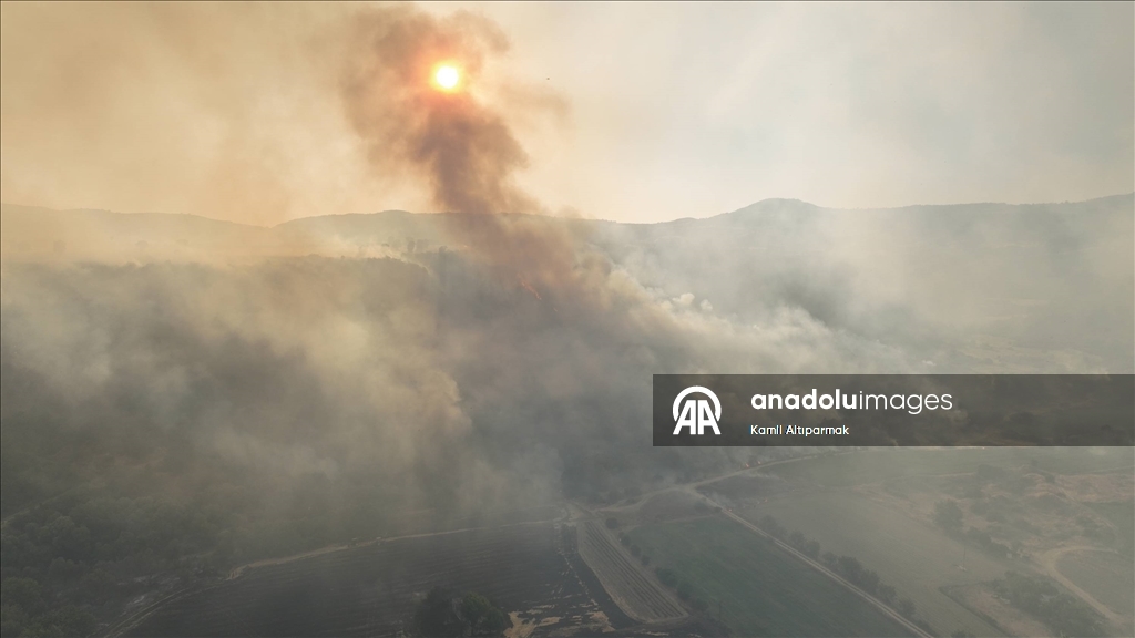 Manisa'da 3 ilçedeki orman yangınlarına müdahale sürüyor