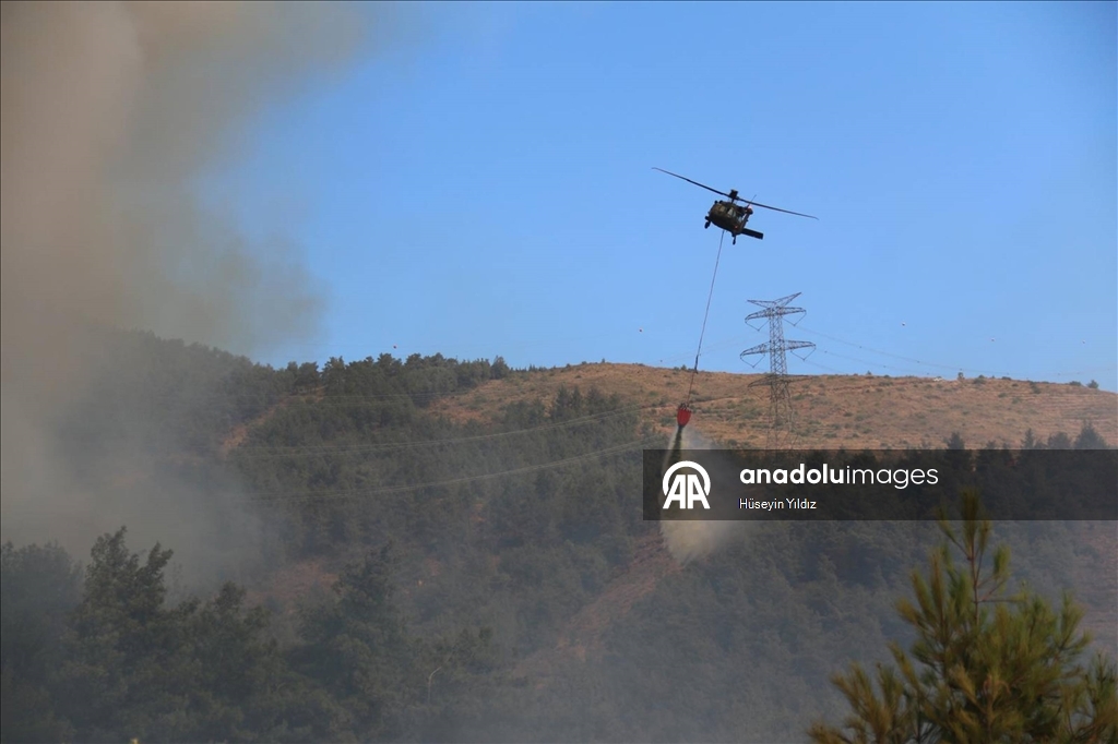 Hatay'da dün çıkan orman yangınına müdahale sürüyor