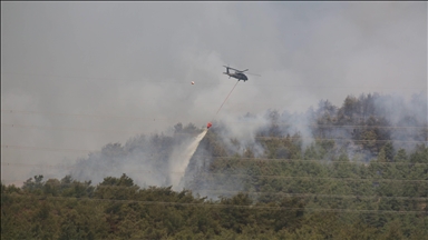 Hatay'da devam eden orman yangınına müdahale sürüyor