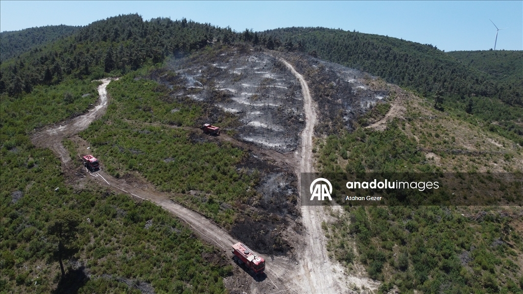 Bilecik'te kontrol altına alınan orman yangınını soğutma çalışmaları sürüyor