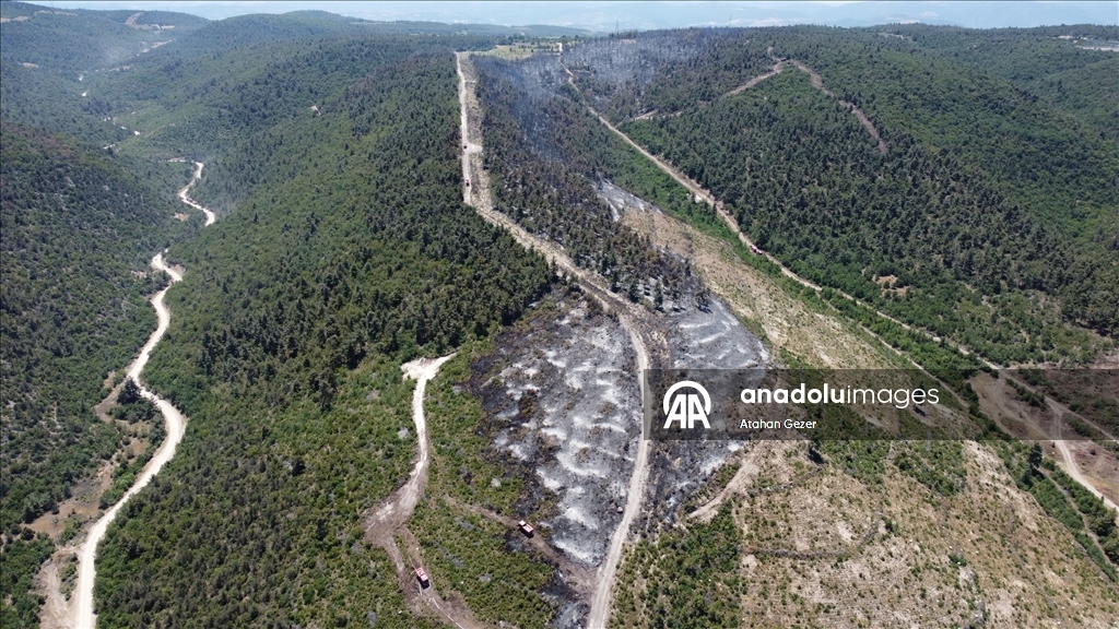 Bilecik'te kontrol altına alınan orman yangınını soğutma çalışmaları sürüyor