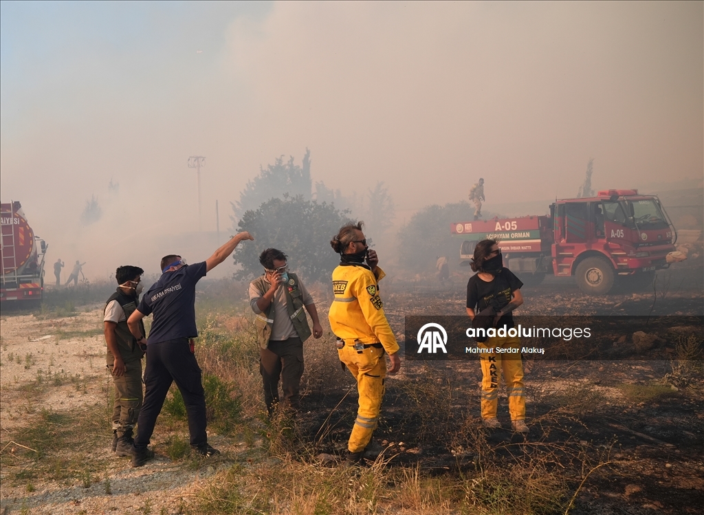 Çeşme'de ziraat alanında başlayıp ormana sıçrayan yangına müdahale ediliyor