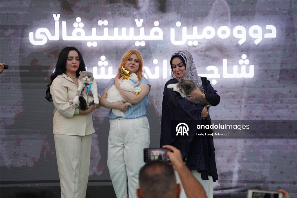 Süleymaniye'de ''Kedi Güzellik Festivali'' yarışması düzenlendi