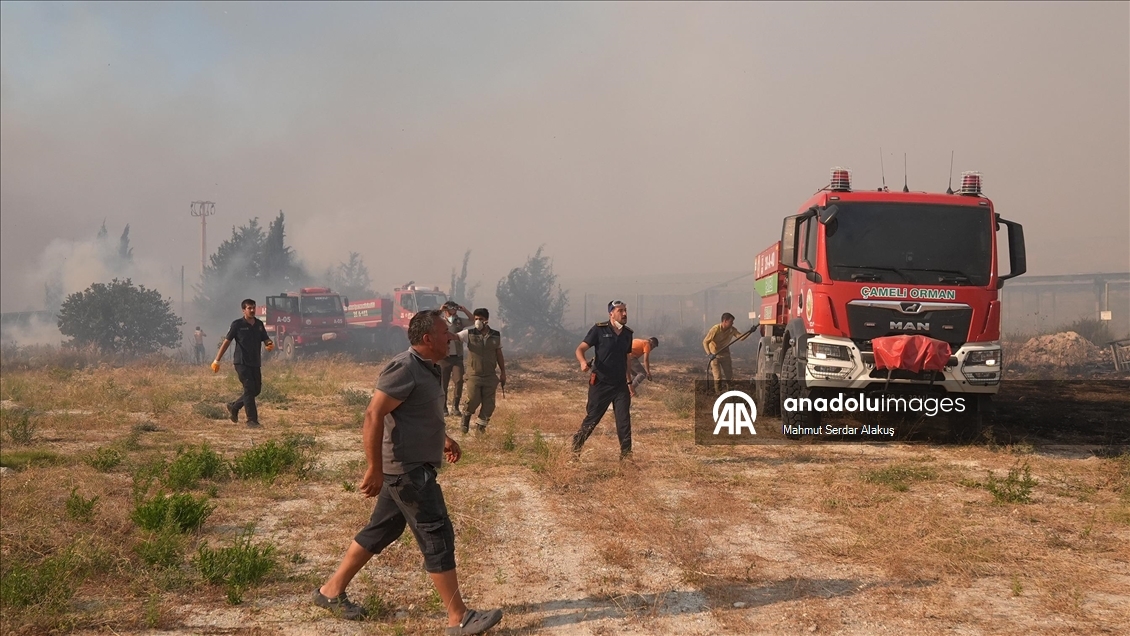 Çeşme'de ziraat alanında başlayıp ormana sıçrayan yangına müdahale ediliyor
