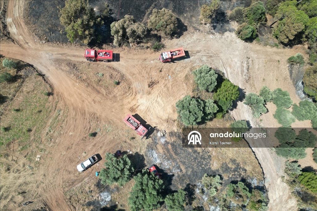 Manisa'daki orman yangınlarında zarar gören alanlar dronla görüntülendi
