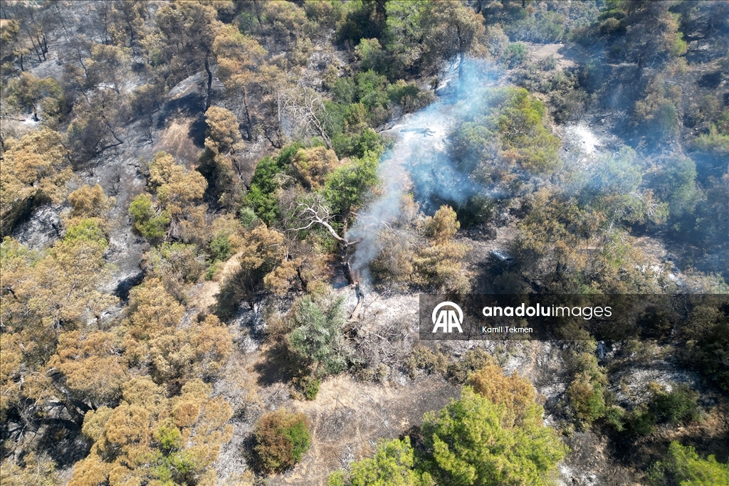 Manisa'daki orman yangınlarında zarar gören alanlar dronla görüntülendi