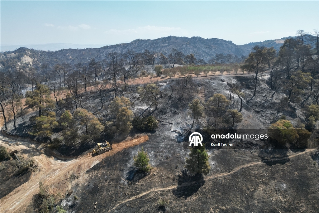 Manisa'daki orman yangınlarında zarar gören alanlar dronla görüntülendi