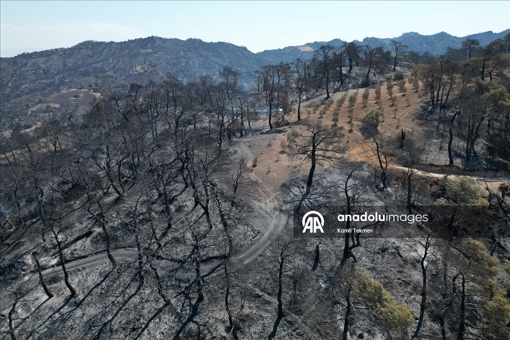 Manisa'daki orman yangınlarında zarar gören alanlar dronla görüntülendi
