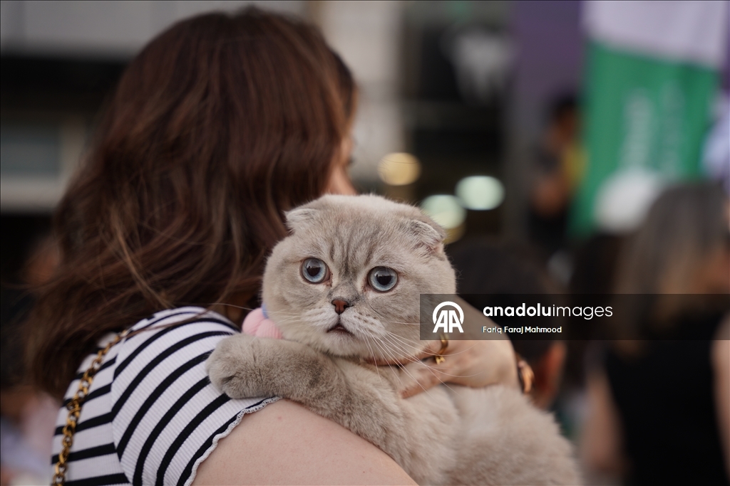 "Cat Beauty Festival" in Sulaymaniyah 