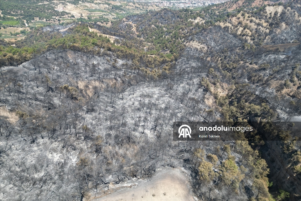 Manisa'daki orman yangınlarında zarar gören alanlar dronla görüntülendi