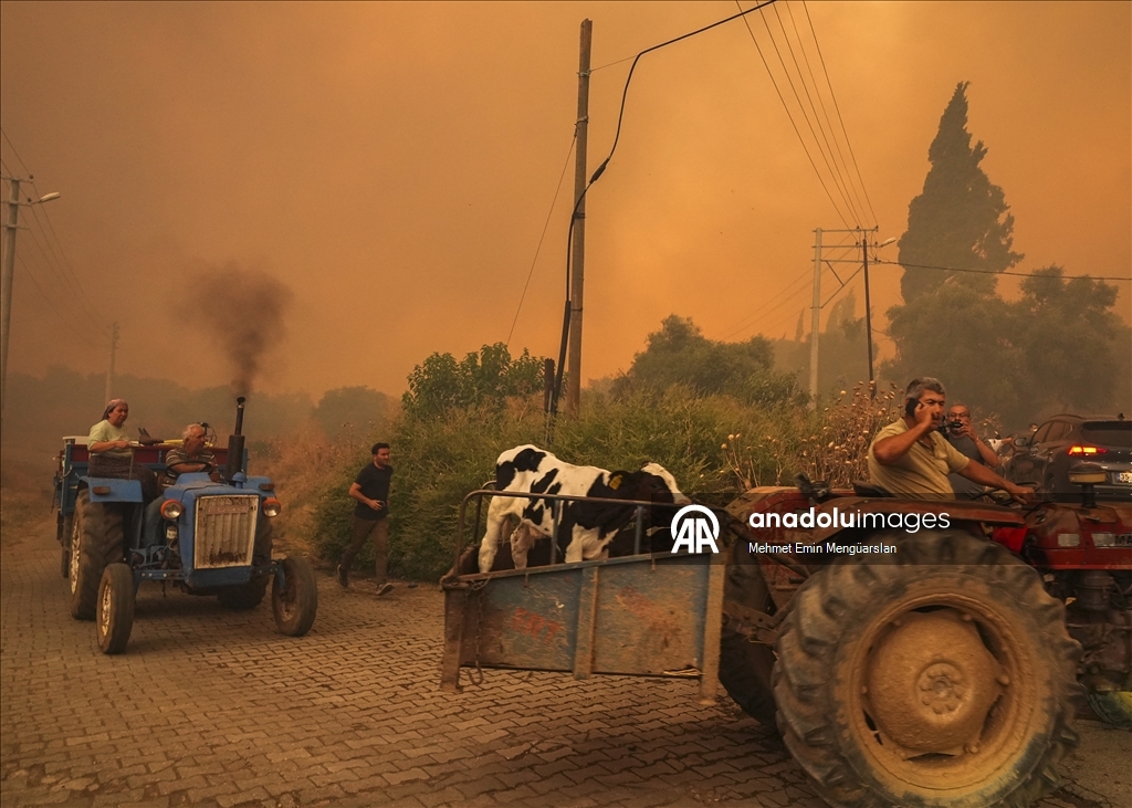 İzmir'in Ödemiş ilçesindeki orman yangınına müdahale sürüyor