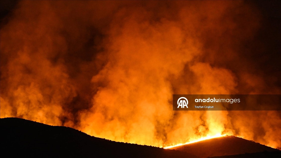 California'da "Madre" orman yangınları devam ediyor