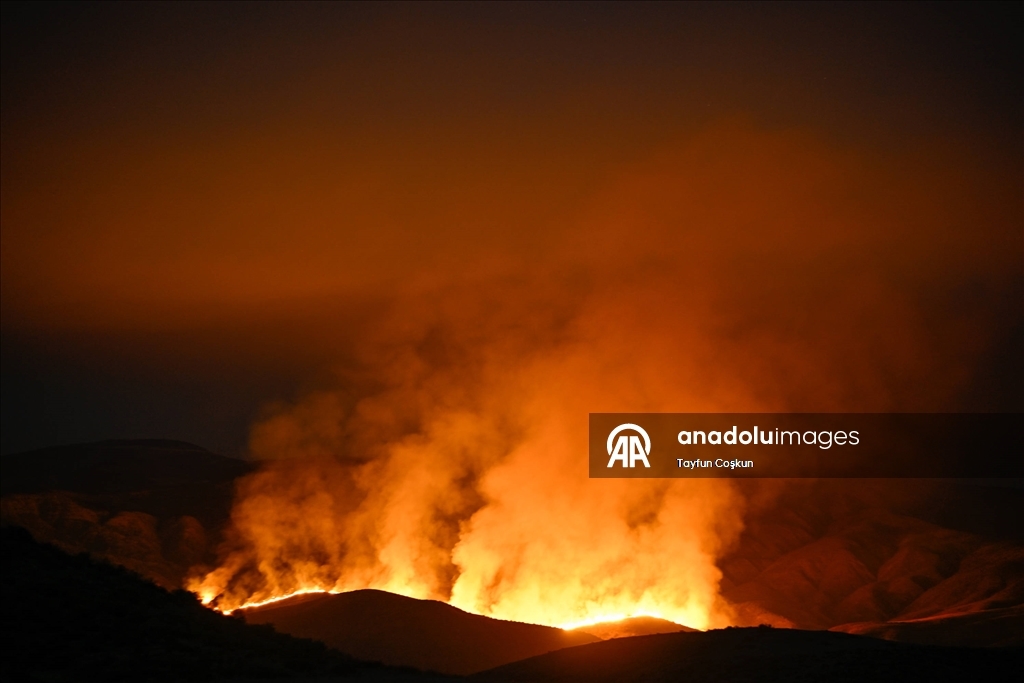 California'da "Madre" orman yangınları devam ediyor