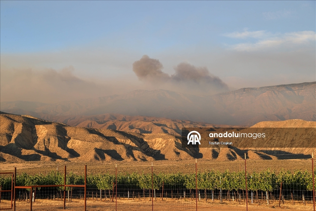 California'da "Madre" orman yangınları devam ediyor