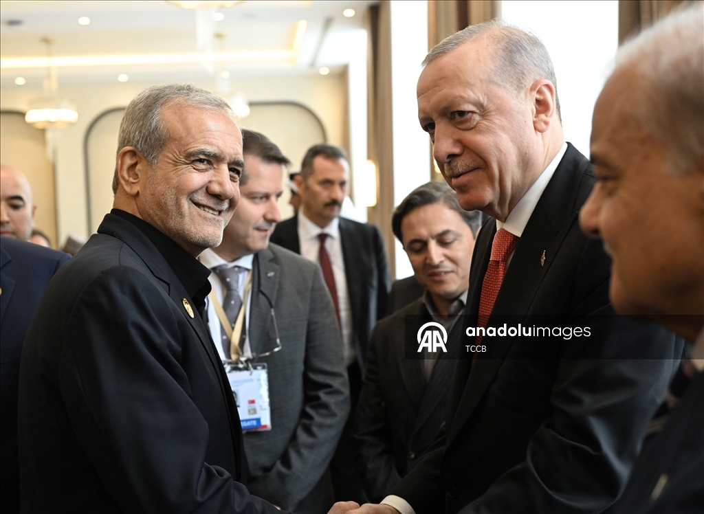 Ekonomik İşbirliği Teşkilatı 17. Zirvesi
