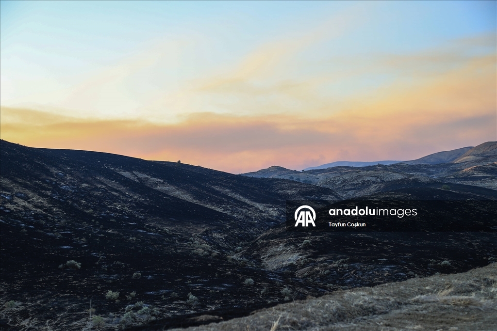 California'da "Madre" orman yangınları devam ediyor