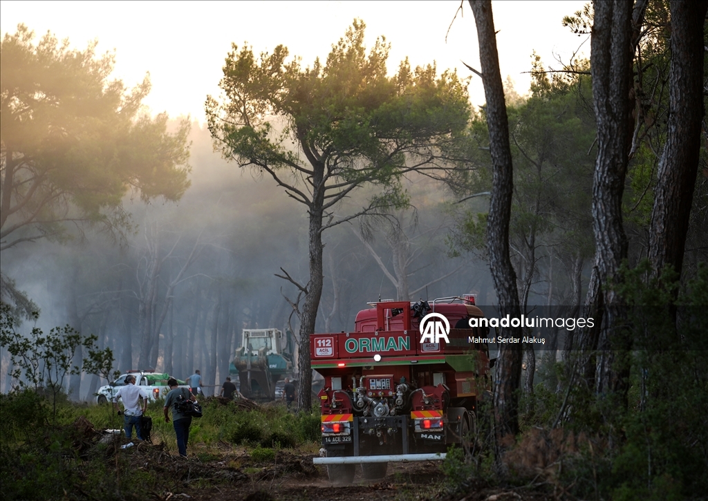 İzmir'in Buca ilçesindeki orman yangınına müdahale ediliyor