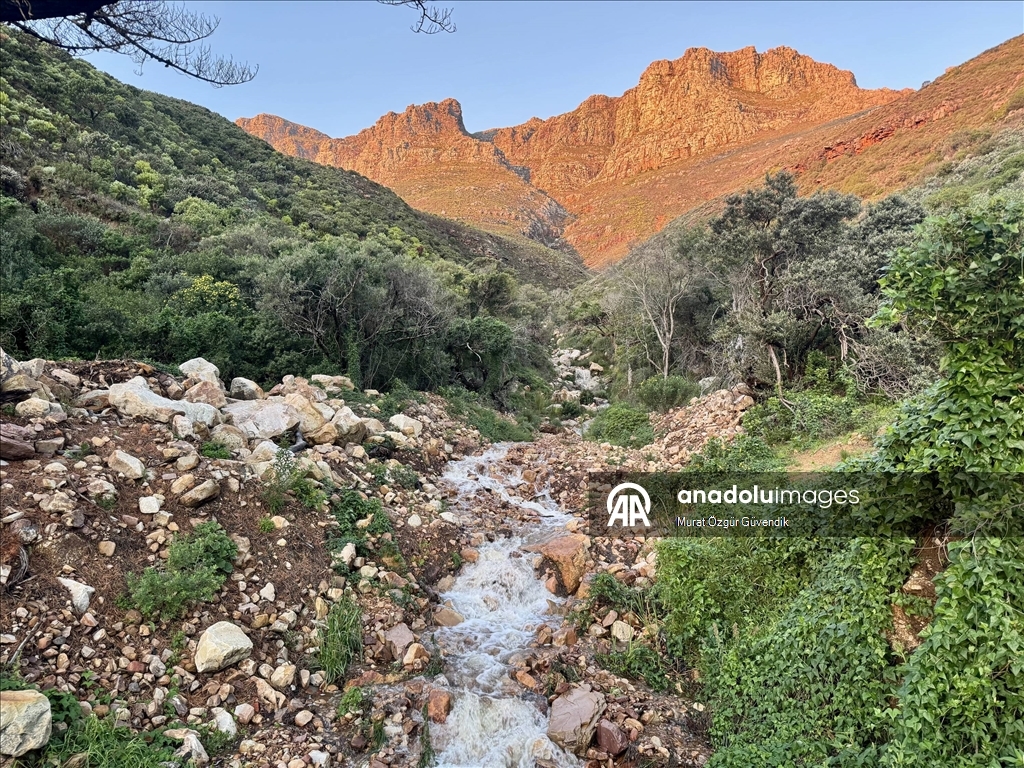 Masa Dağı'nın Atlantik'e açılan yamaçlarında ikonik bir sahil yolu: Chapman's Peak