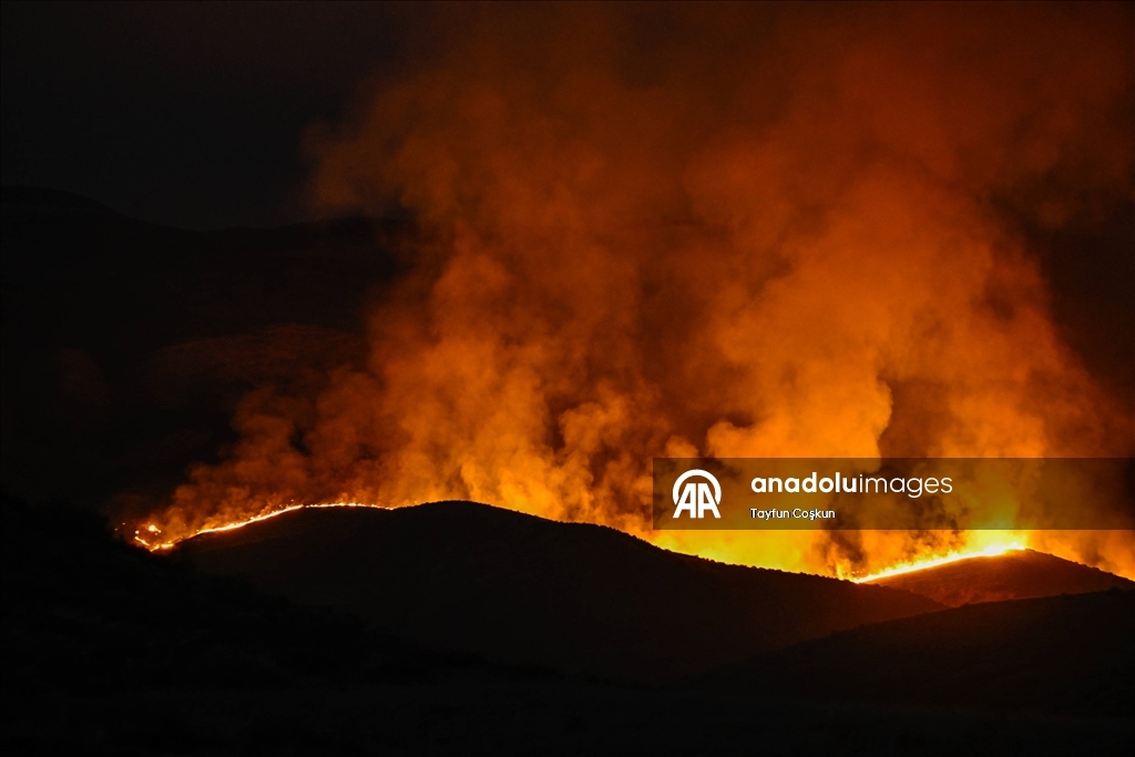 California'da "Madre" orman yangınları devam ediyor