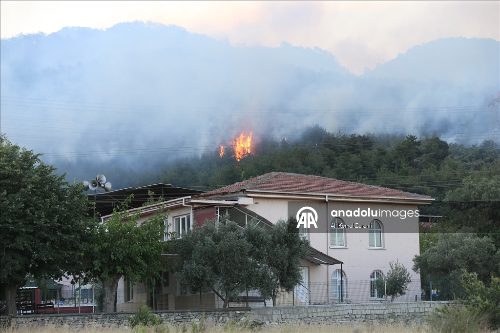 Hatay Dörtyol'da dün çıkan orman yangınına müdahale sürüyor