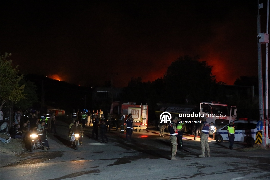 Hatay Dörtyol'da orman yangını çıktı