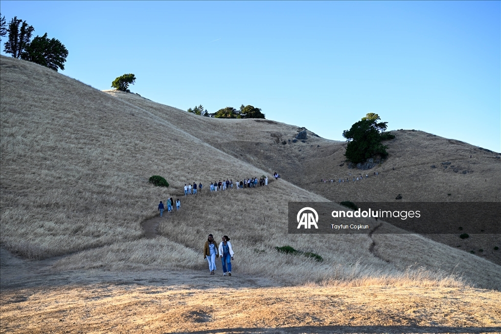 Tamalpais Dağı Eyalet Parkı