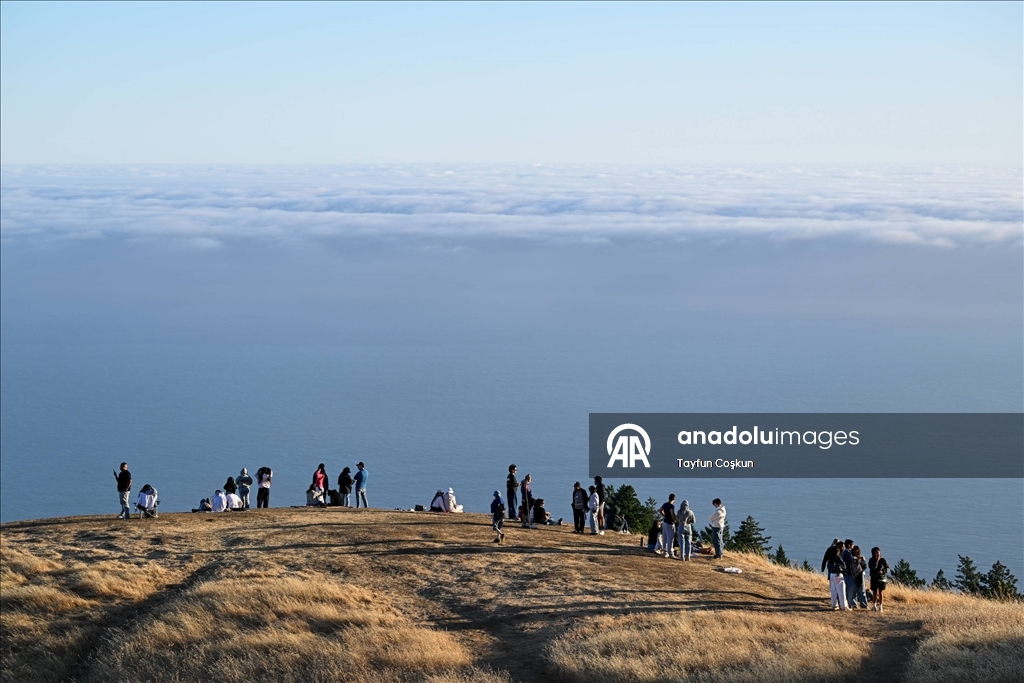 Tamalpais Dağı Eyalet Parkı