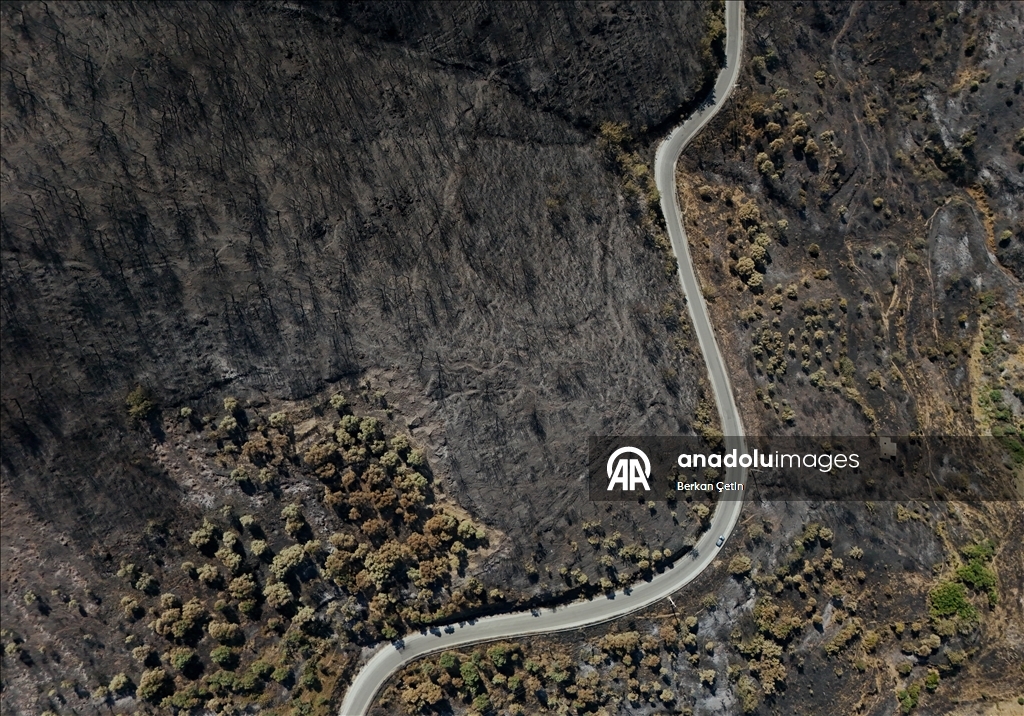 Wildfire in Turkiye's Izmir