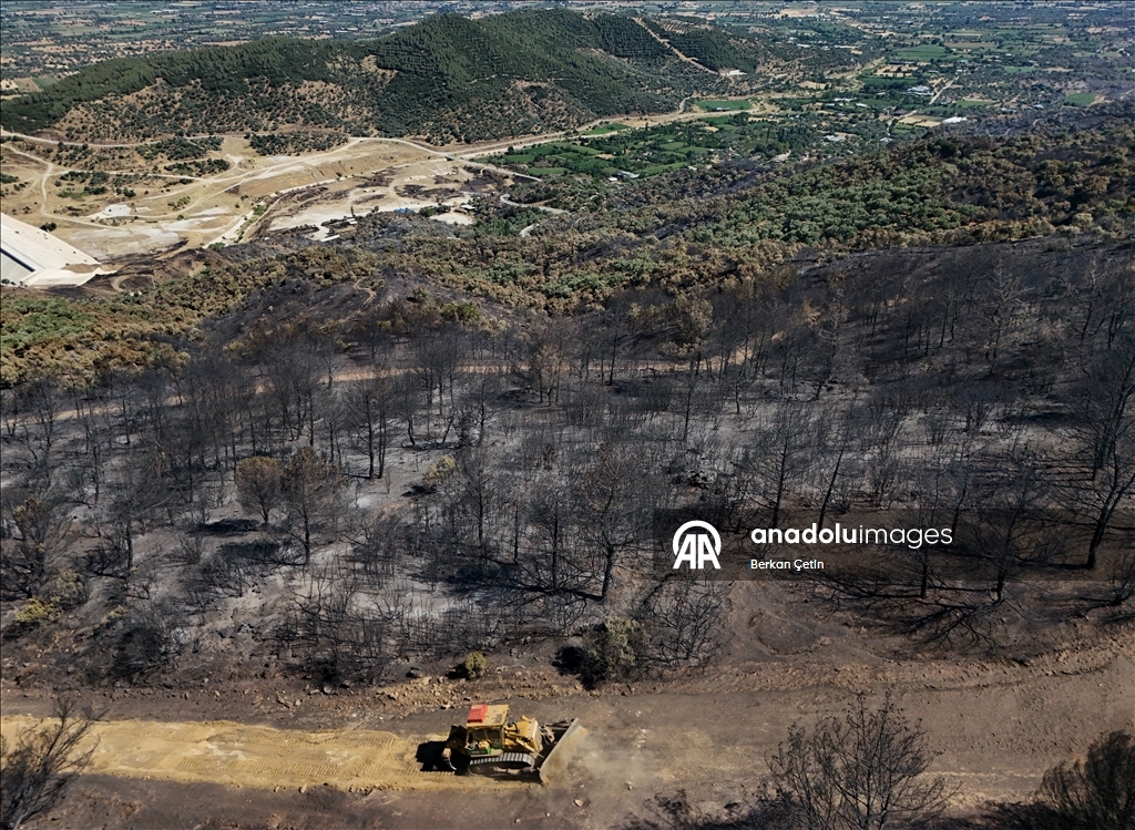 Wildfire in Turkiye's Izmir