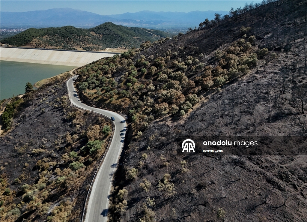Wildfire in Turkiye's Izmir