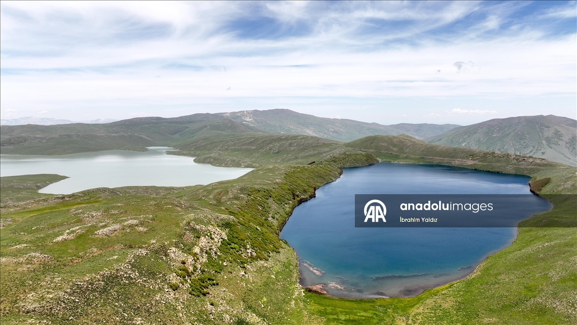 Muş'taki Hamurpet Gölleri doğaseverlerin gözdesi oldu