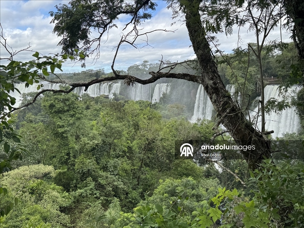 Arjantin'in doğal harikası: Iguazu Şelaleleri