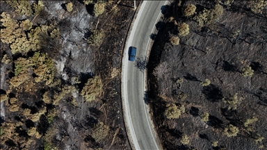 Wildfire in Türkiye's Izmir