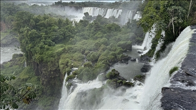 Argentina’s Natural Wonder: Iguazu Falls