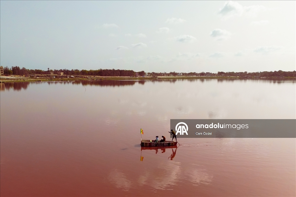 Senegal'de aşırı yağışlar nedeniyle yeşillenen Pembe Göl sonunda rengine kavuştu