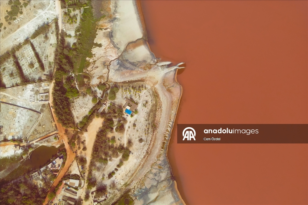 Senegal'de aşırı yağışlar nedeniyle yeşillenen Pembe Göl sonunda rengine kavuştu