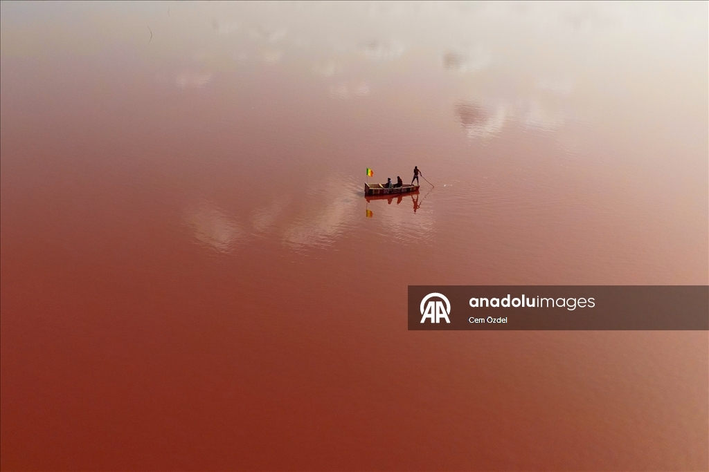Senegal'de aşırı yağışlar nedeniyle yeşillenen Pembe Göl sonunda rengine kavuştu