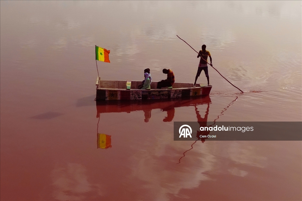 Senegal'de aşırı yağışlar nedeniyle yeşillenen Pembe Göl sonunda rengine kavuştu