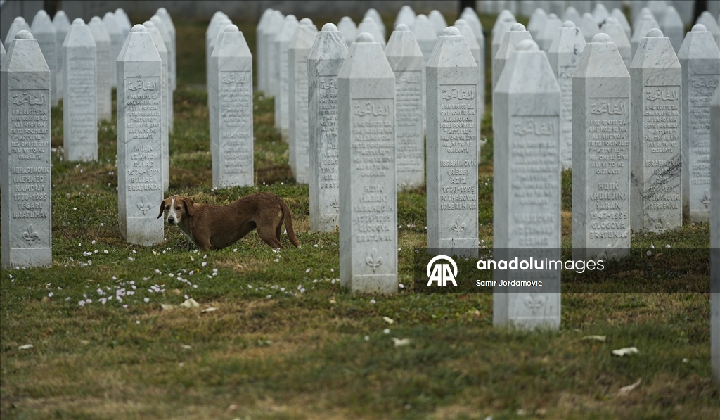 U Potočarima iskopani mezari za sedam žrtava genocida u Srebrenici