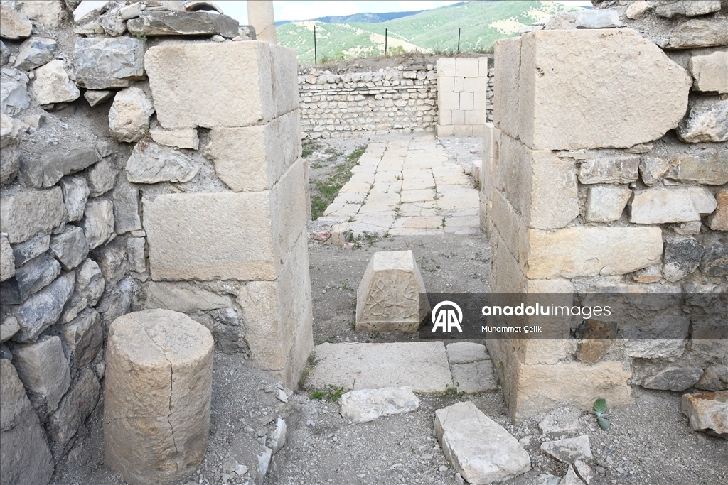 Satala Antik Kenti'nde 8. sezon arkeolojik kazılara başlandı