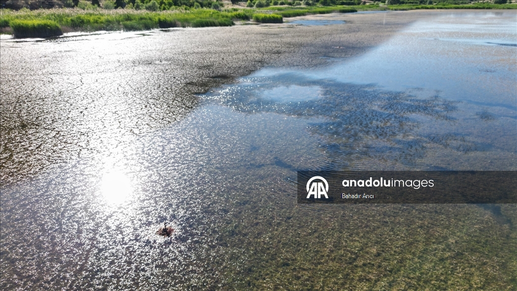 Mada Adası havadan görüntülendi