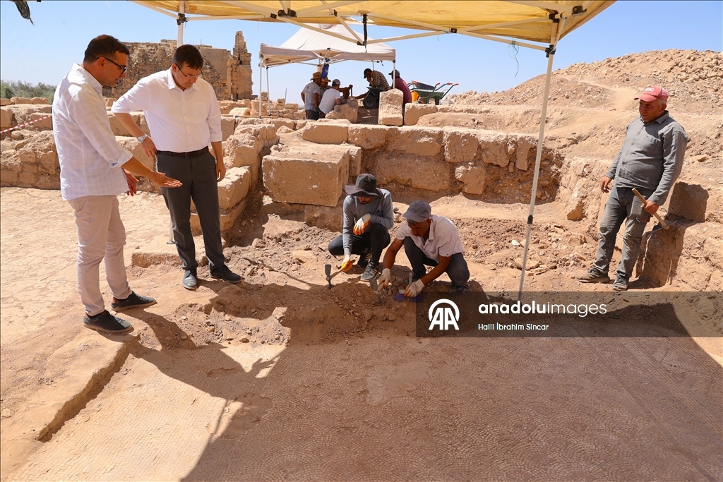 В античном городе Дара обнаружена уникальная мозаика возрастом 1500 лет