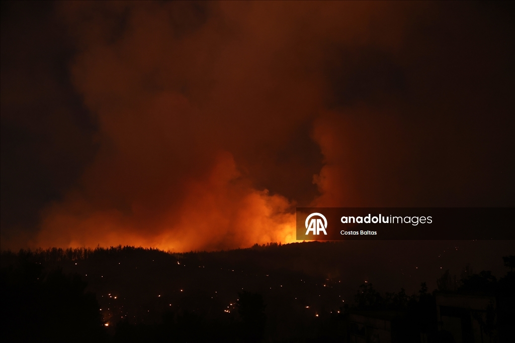 Atina'ya yaklaşık 60 kilometre uzaktaki Oropos'ta orman yangını çıktı  1
