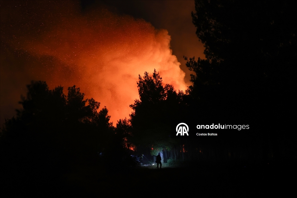 Atina'ya yaklaşık 60 kilometre uzaktaki Oropos'ta orman yangını çıktı  2