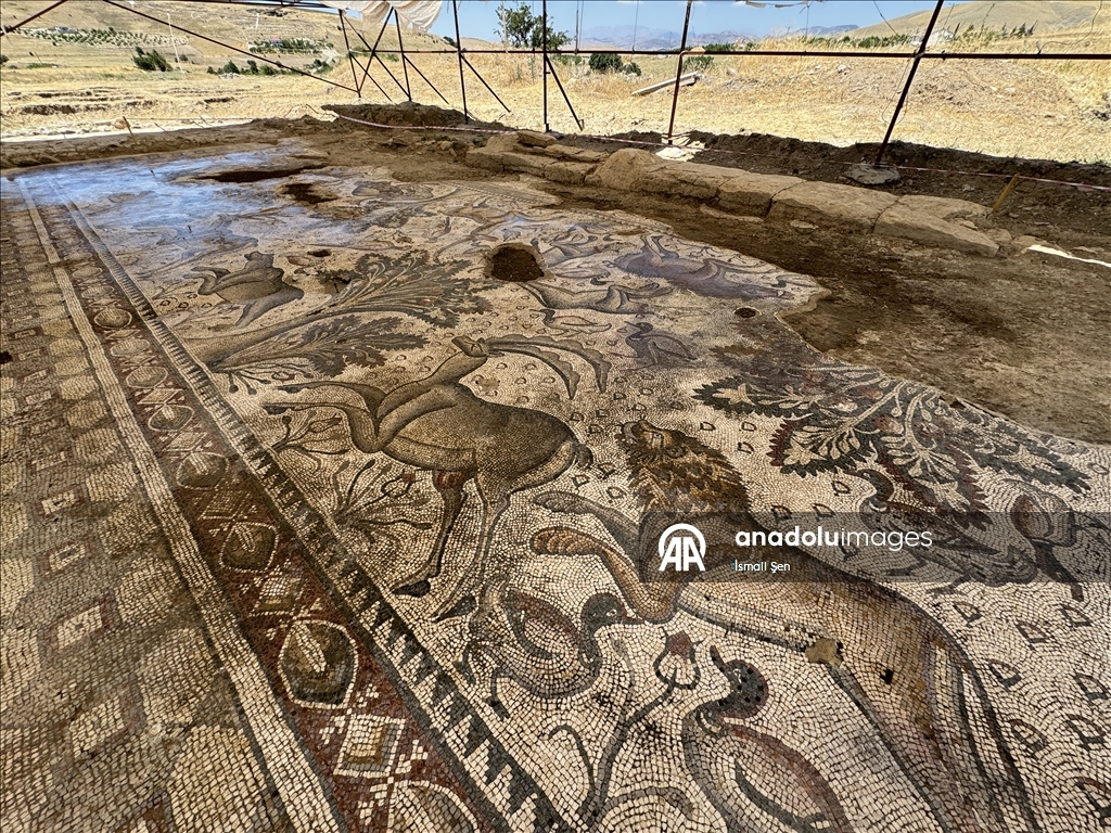 Elazığ'da bir tarlada yaklaşık 1700 yıllık Roma hamamı gün yüzüne çıkarıldı