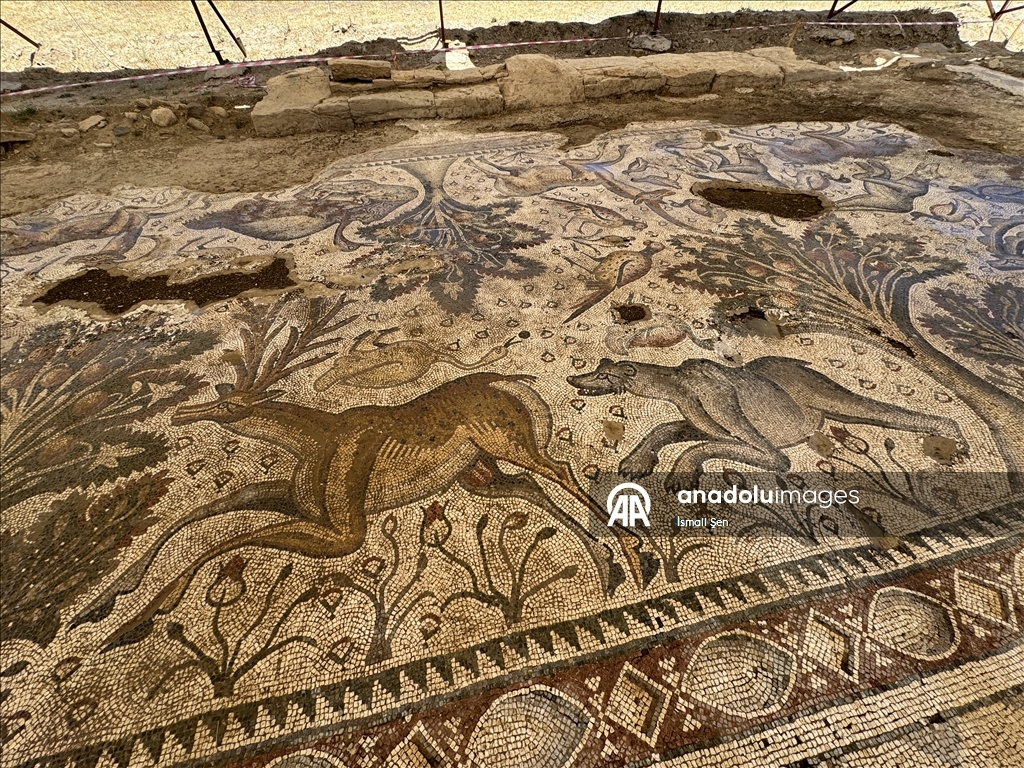 Elazığ'da bir tarlada yaklaşık 1700 yıllık Roma hamamı gün yüzüne çıkarıldı