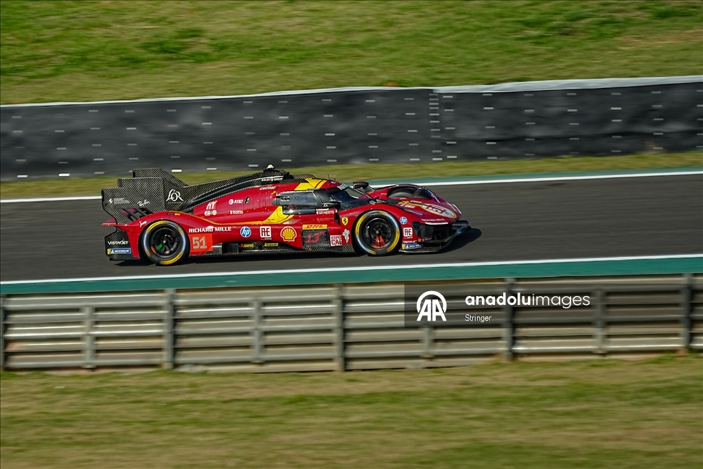 Чемпионат мира по гонкам на выносливость FIA в Сан-Паулу