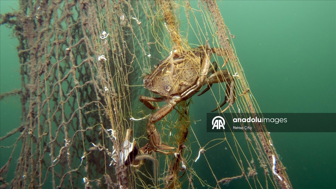 'Hayalet ağ' mavi sulardaki ekosistemi olumsuz etkiliyor